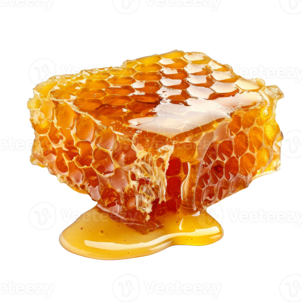 Honey Isolated on a Transparent Background png