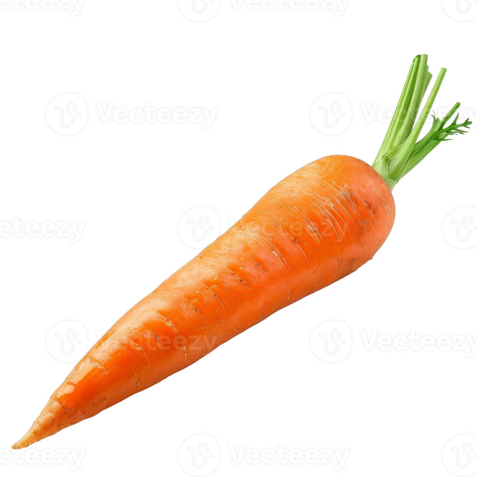 Carrot Isolated on a Transparent Background png