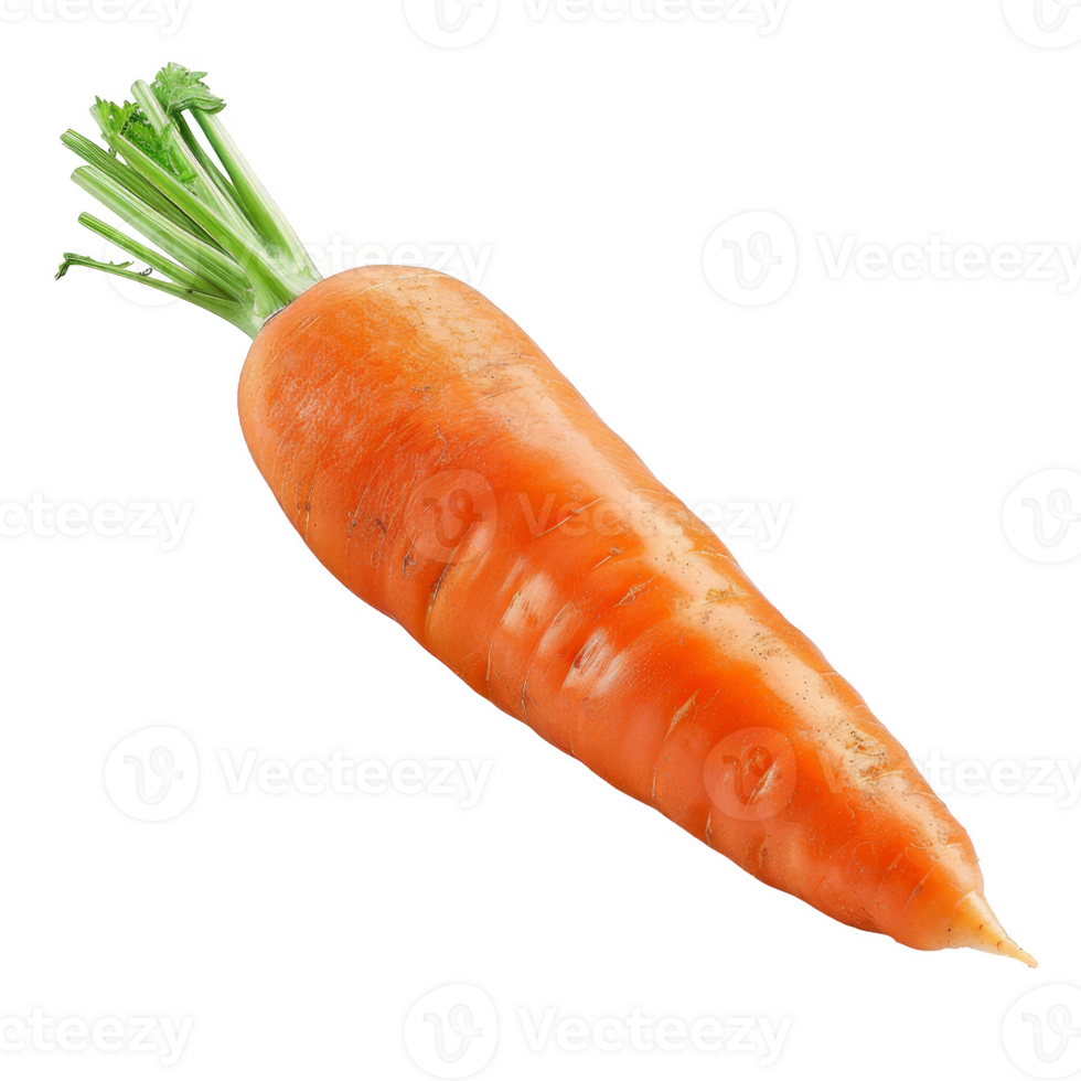 Carrot Isolated on a Transparent Background png