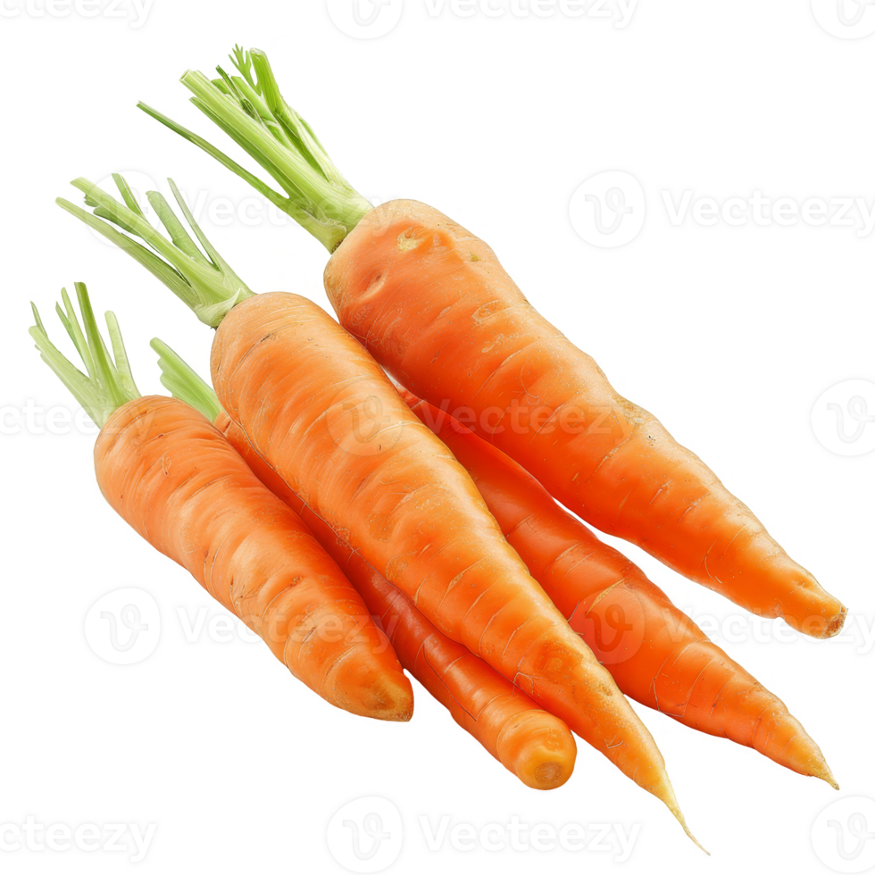 Carrot Isolated on a Transparent Background png