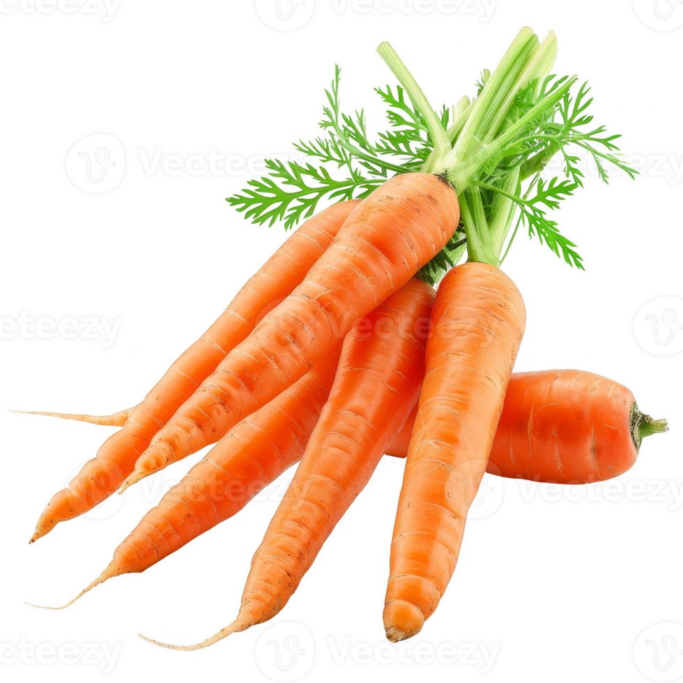 Carrot Isolated on a Transparent Background png