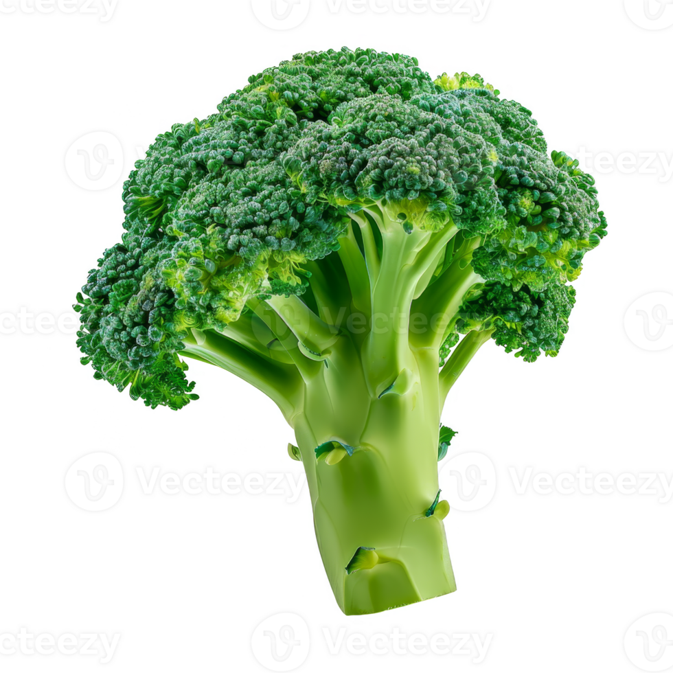 Broccoli Isolated on a Transparent Background png