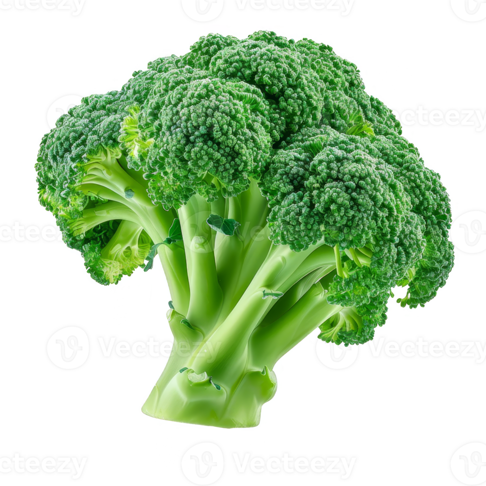 Broccoli Isolated on a Transparent Background png