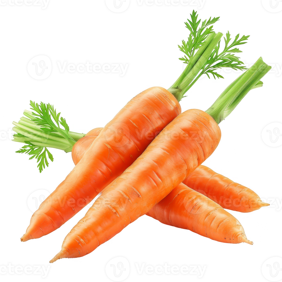 Carrot Isolated on a Transparent Background png