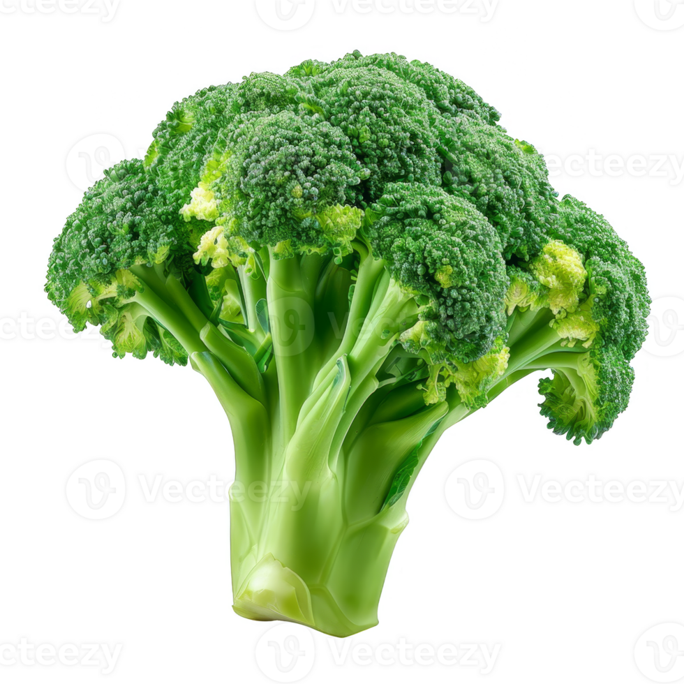 Broccoli Isolated on a Transparent Background png