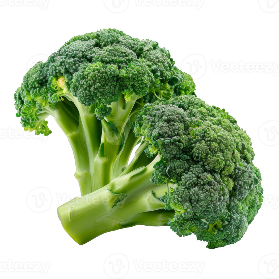 Broccoli Isolated on a Transparent Background png