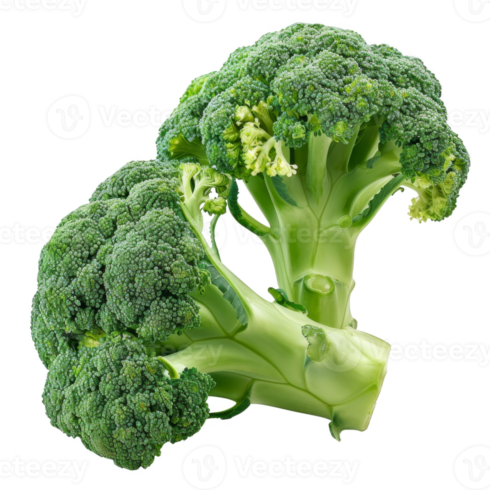 Broccoli Isolated on a Transparent Background png