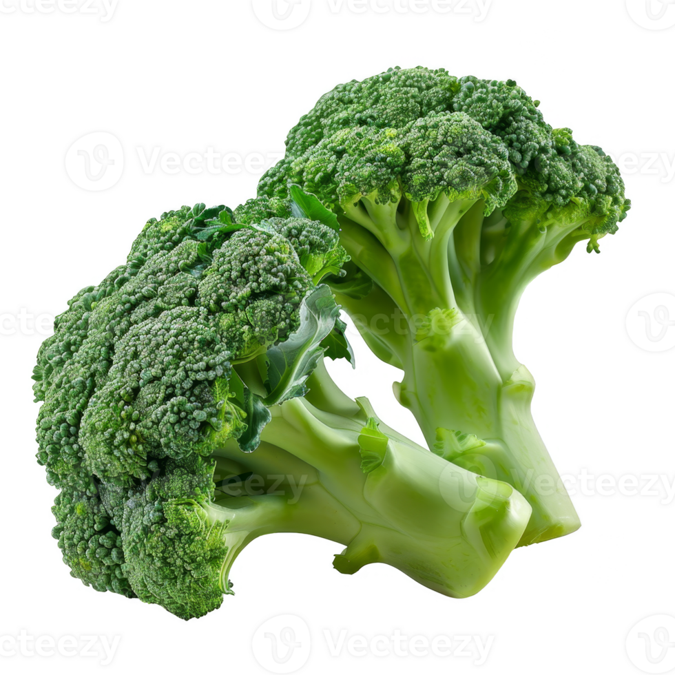 Broccoli Isolated on a Transparent Background png