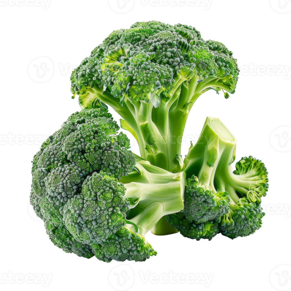 Broccoli Isolated on a Transparent Background png