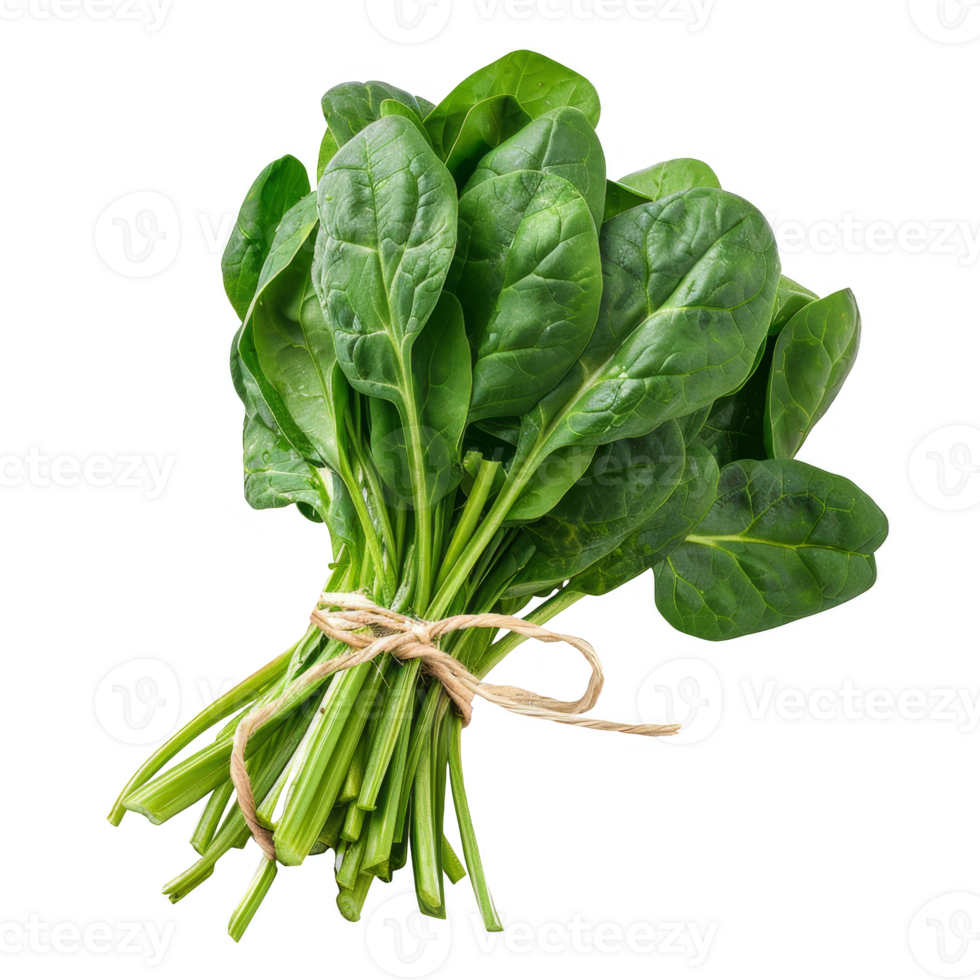 Spinach Isolated on a Transparent Background png