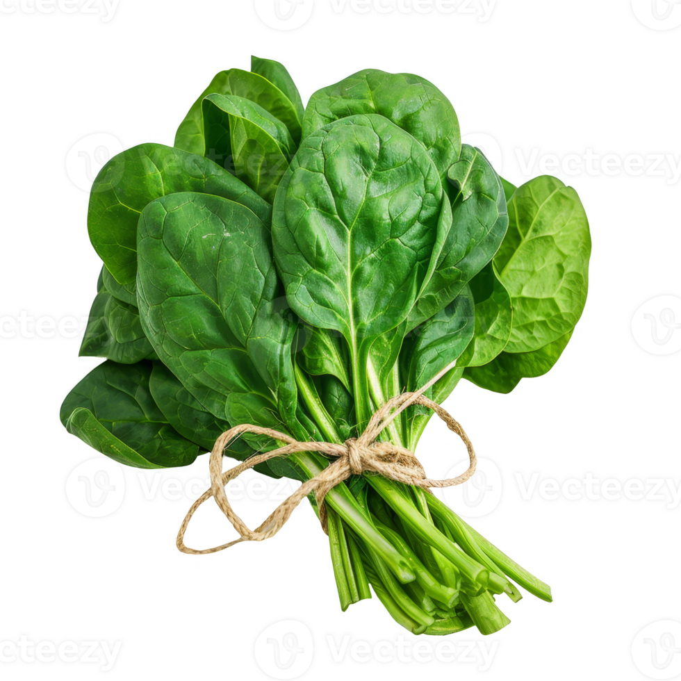Spinach Isolated on a Transparent Background png