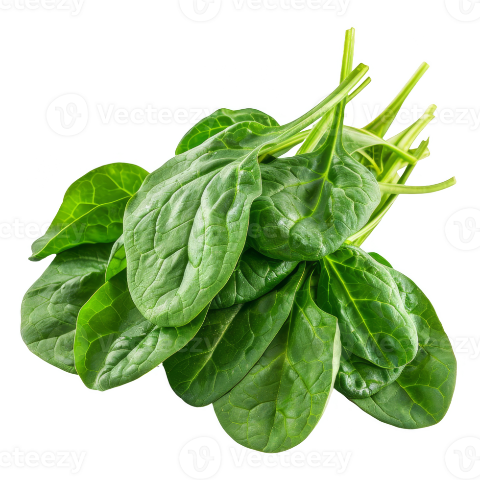 Spinach Isolated on a Transparent Background png