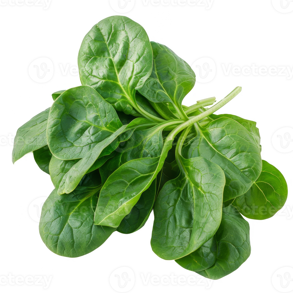 Spinach Isolated on a Transparent Background png