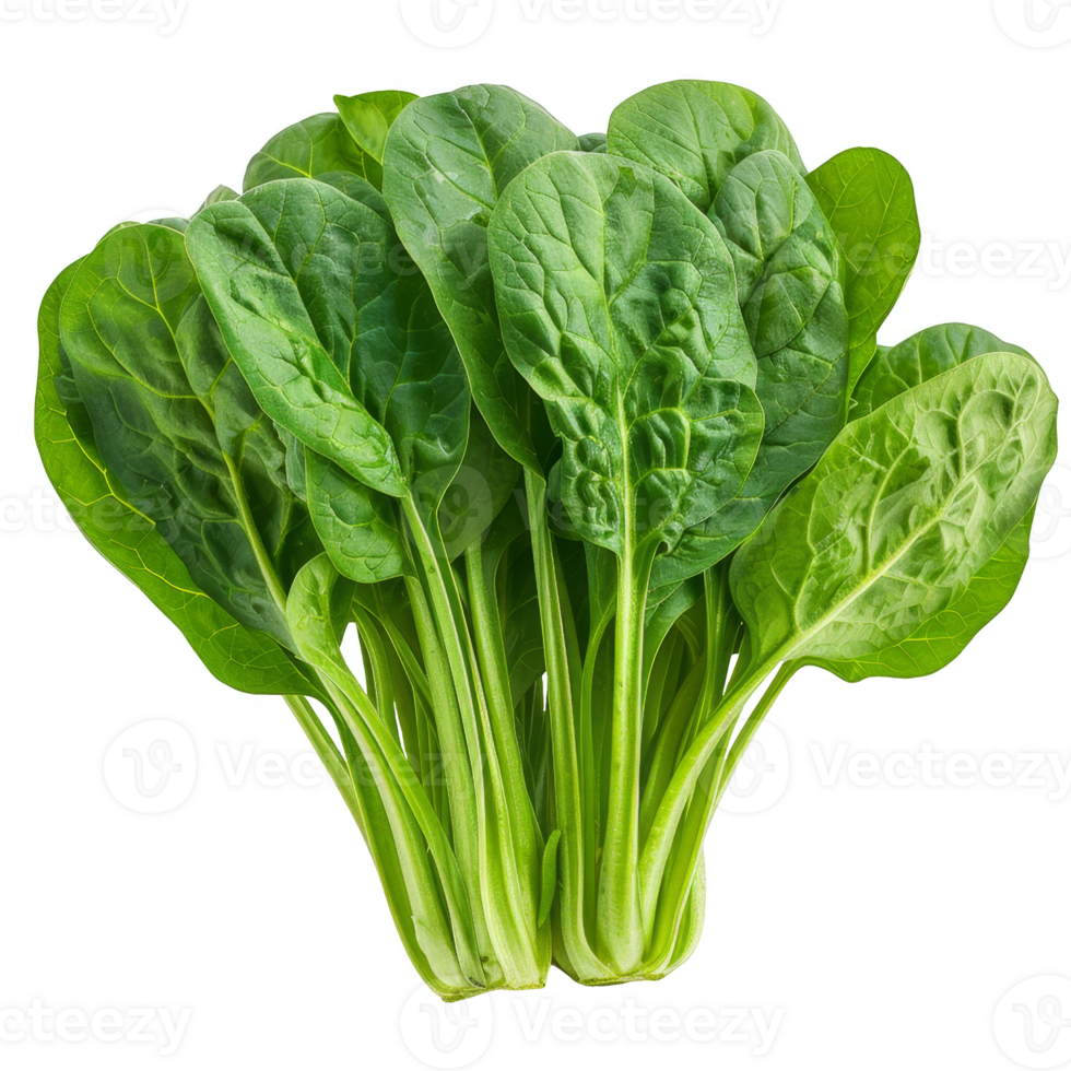 Spinach Isolated on a Transparent Background png
