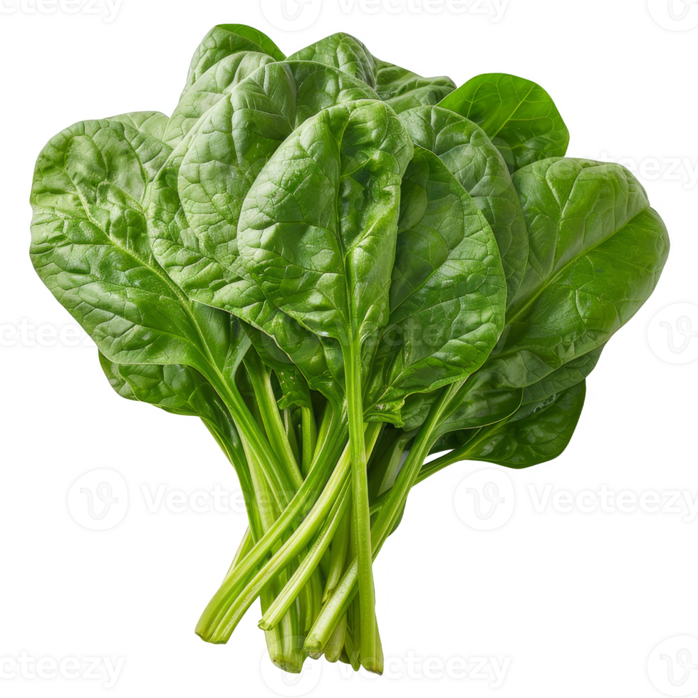 Spinach Isolated on a Transparent Background png