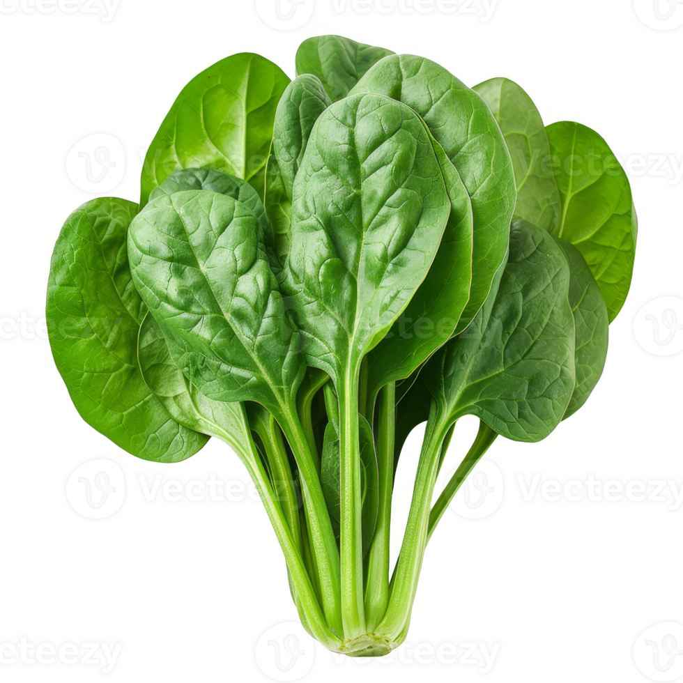 Spinach Isolated on a Transparent Background png