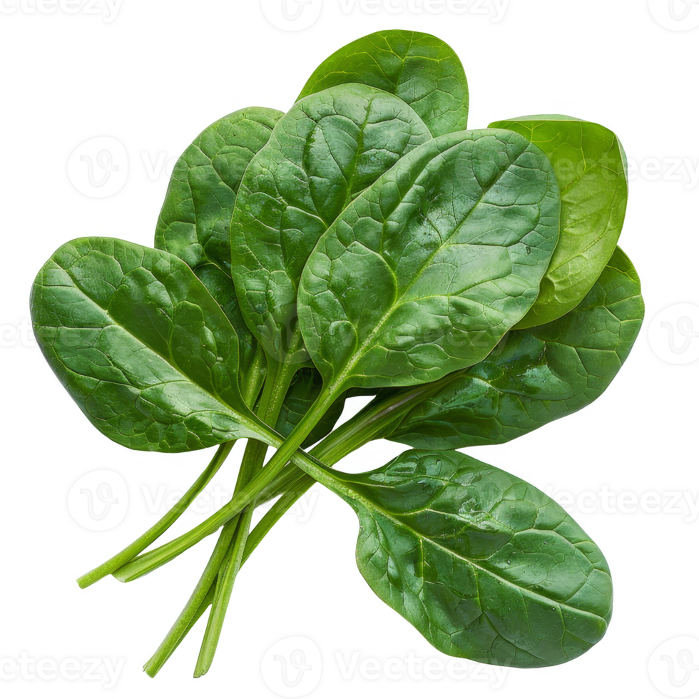 Spinach Isolated on a Transparent Background png