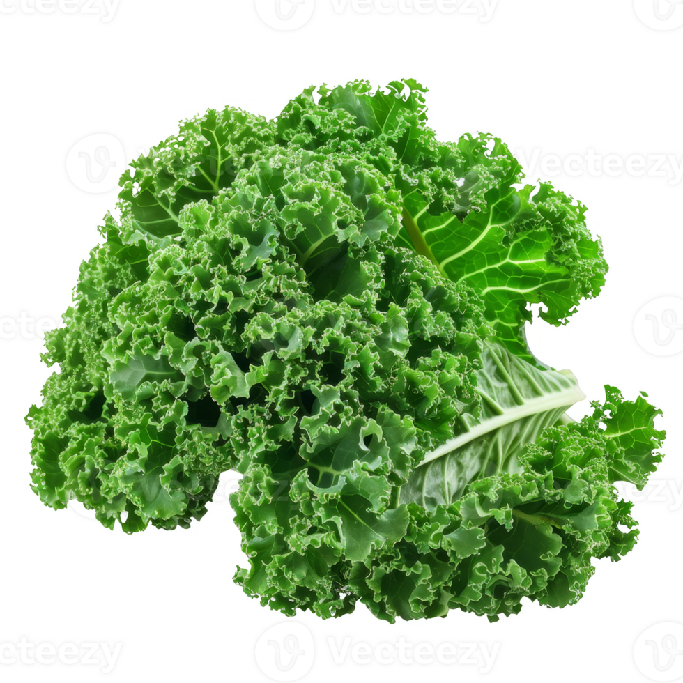 Kale Isolated on a Transparent Background png