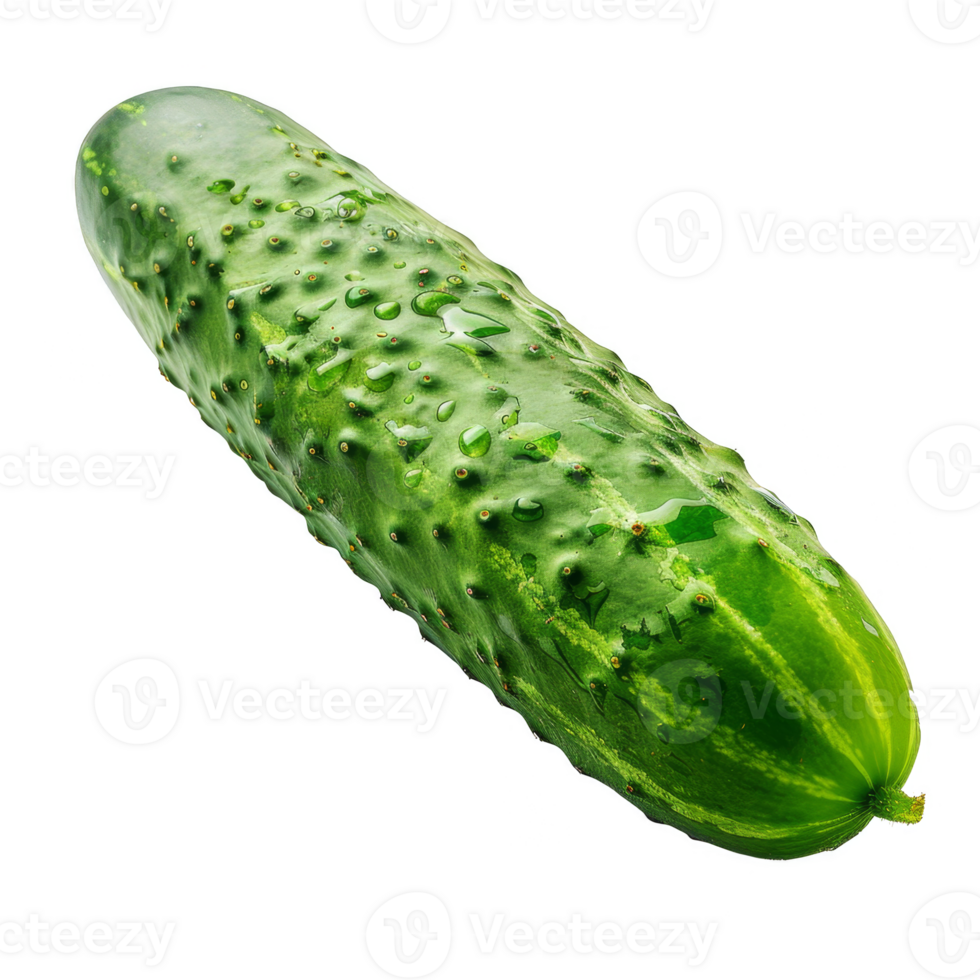 Cucumber Isolated on a Transparent Background png
