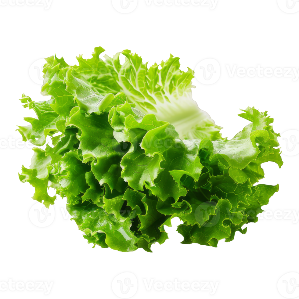 Lettuce Isolated on a Transparent Background png