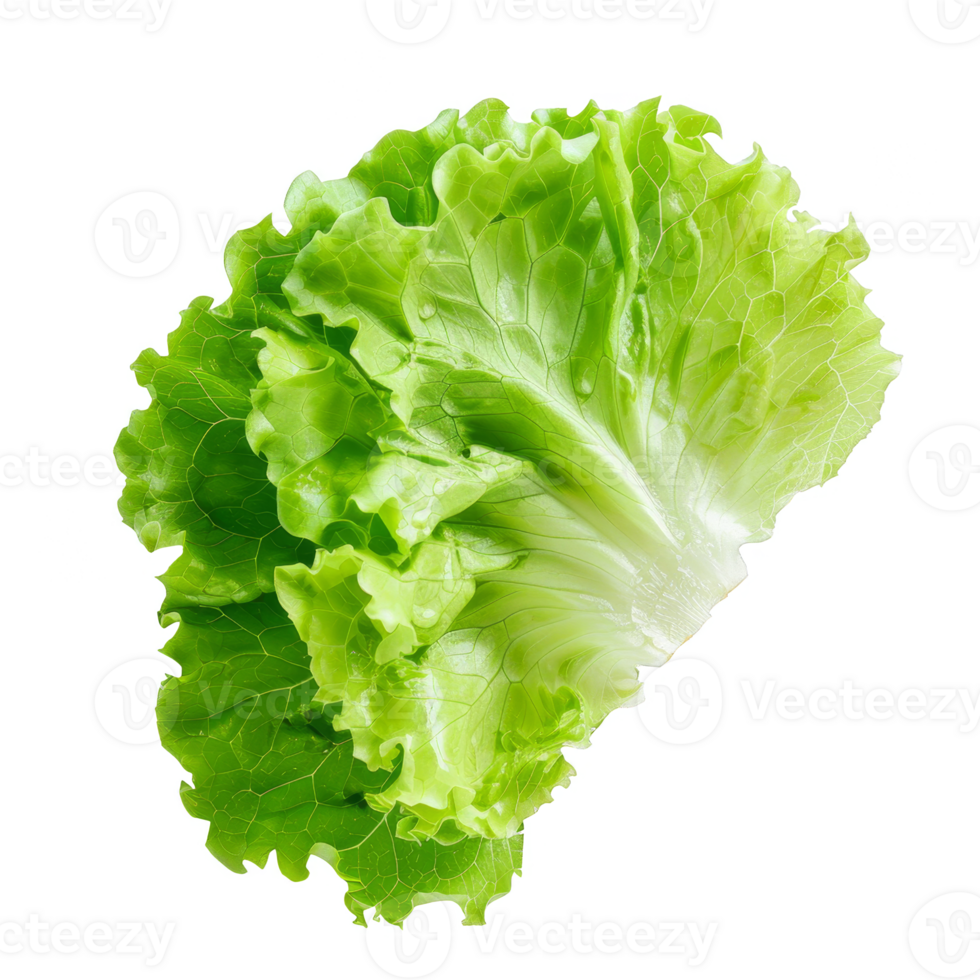 Lettuce Isolated on a Transparent Background png