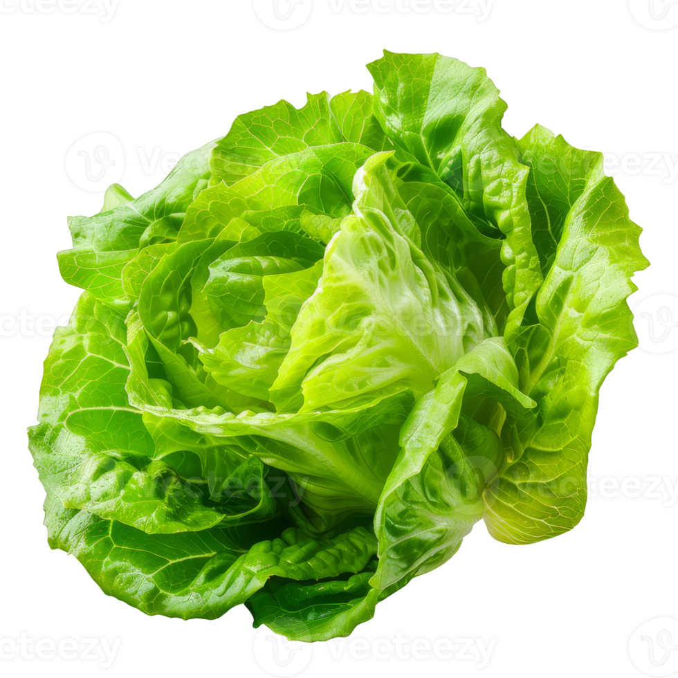 Lettuce Isolated on a Transparent Background png