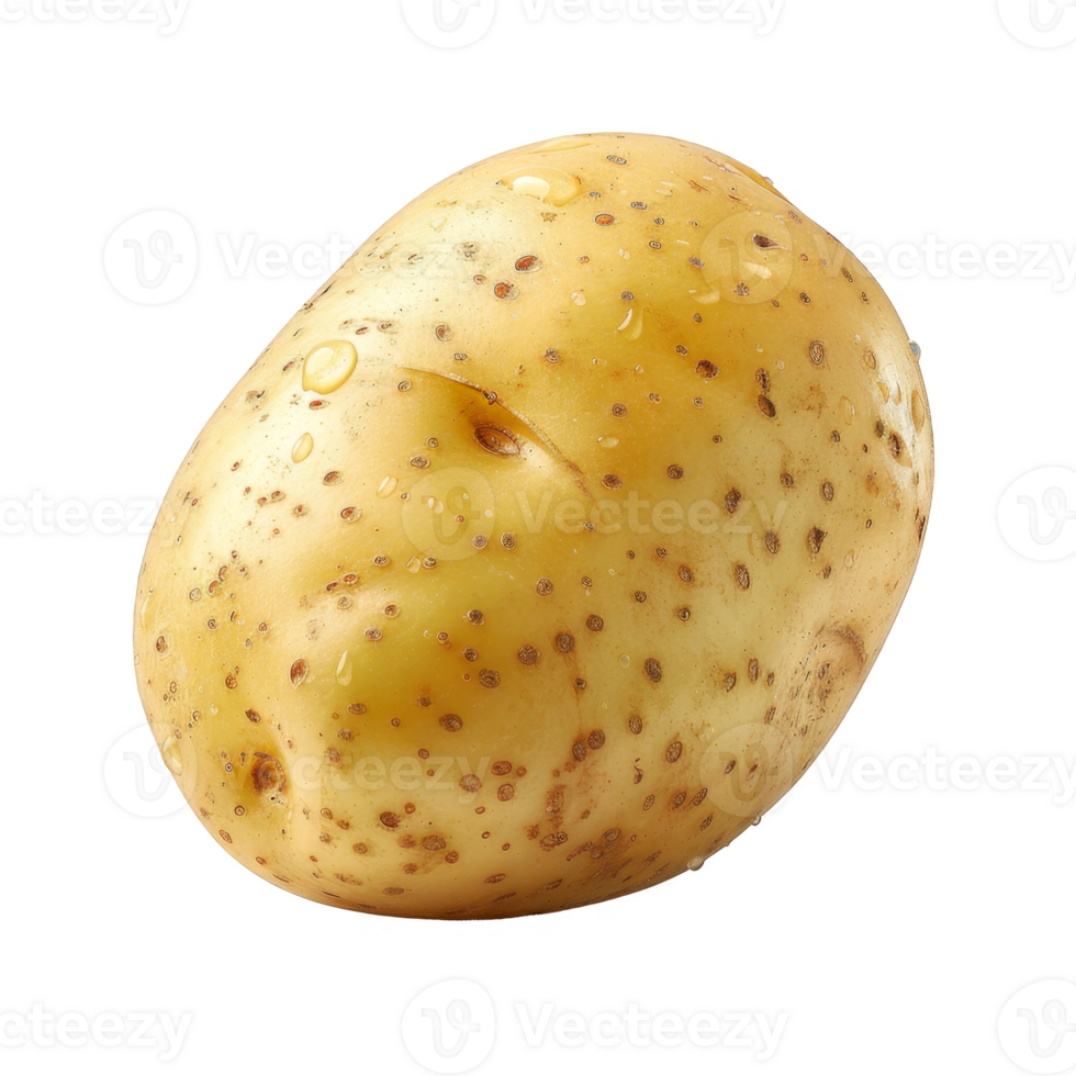 Potato Isolated on a Transparent Background png