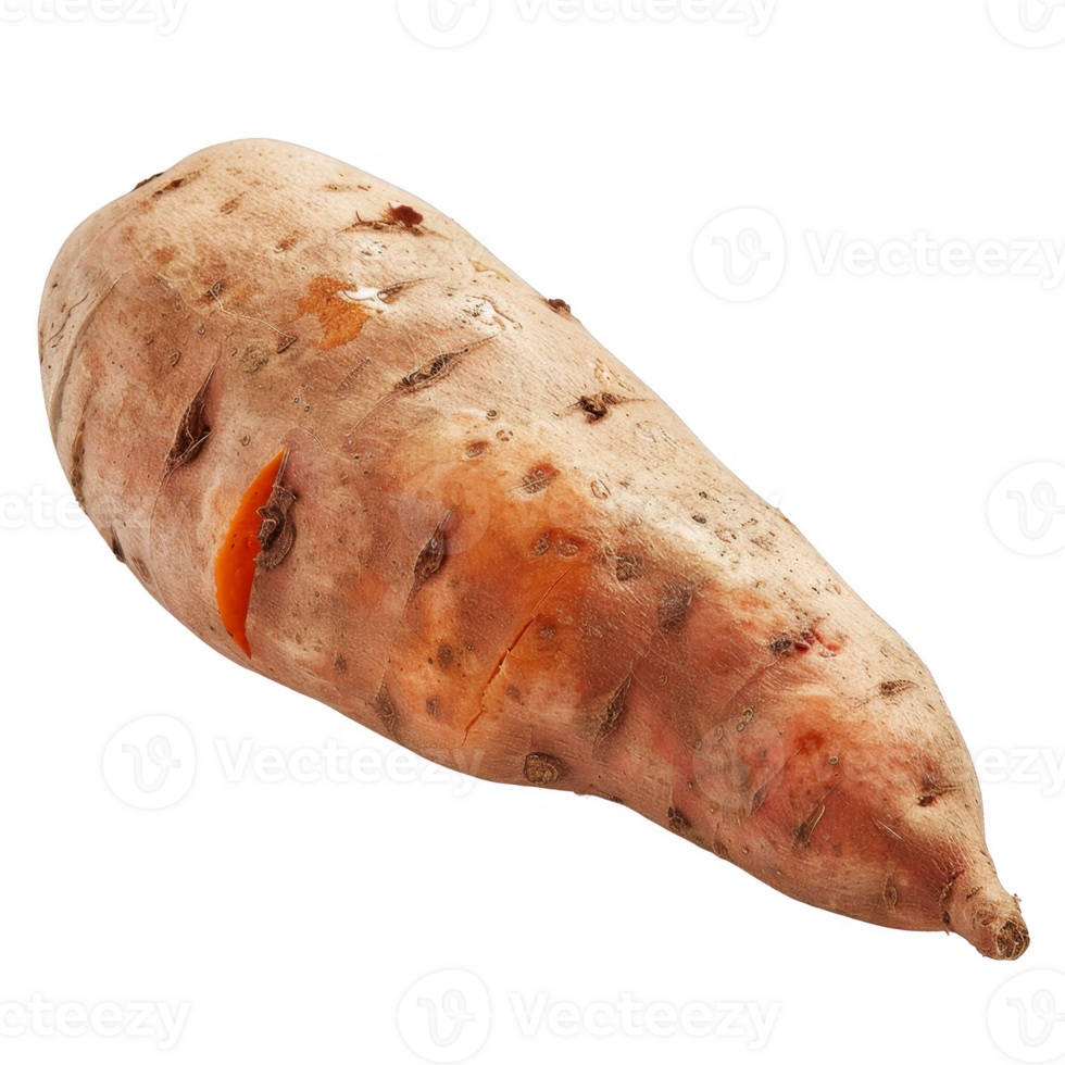 Sweet Potato Isolated on a Transparent Background png