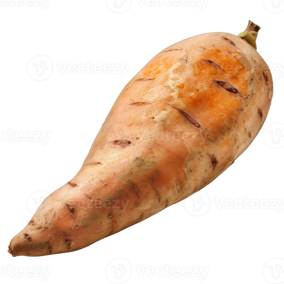 Sweet Potato Isolated on a Transparent Background png
