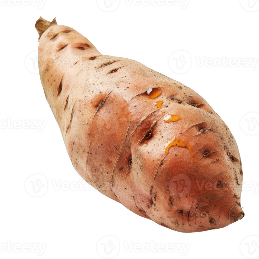 Sweet Potato Isolated on a Transparent Background png
