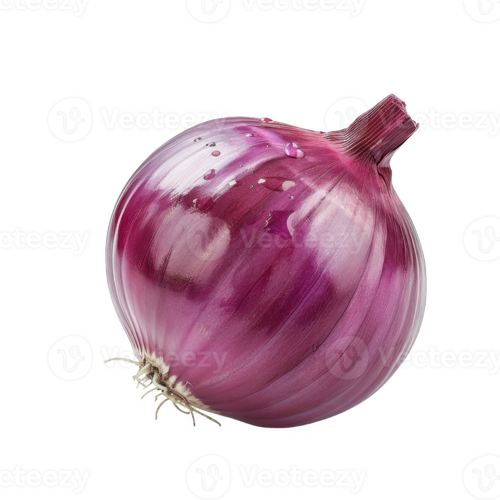 Onion Isolated on a Transparent Background png