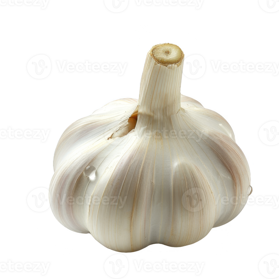 Garlic Isolated on a Transparent Background png