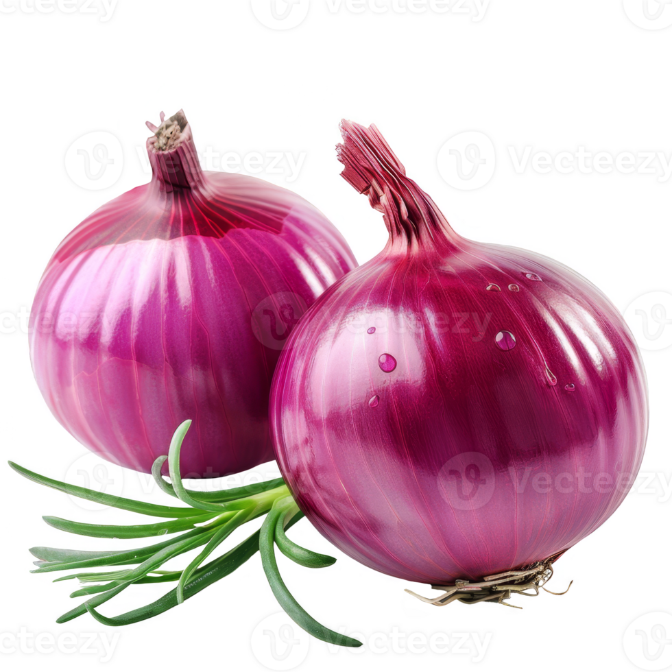 Onion Isolated on a Transparent Background png