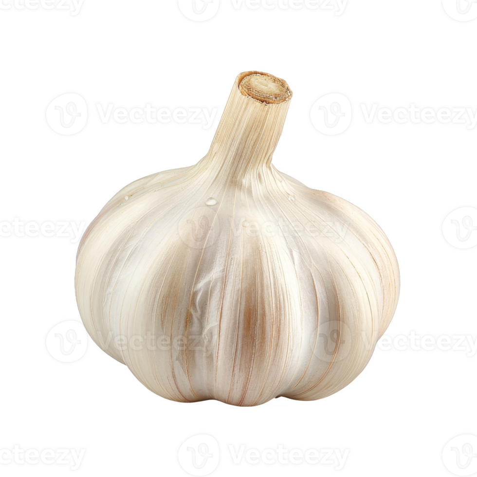 Garlic Isolated on a Transparent Background png