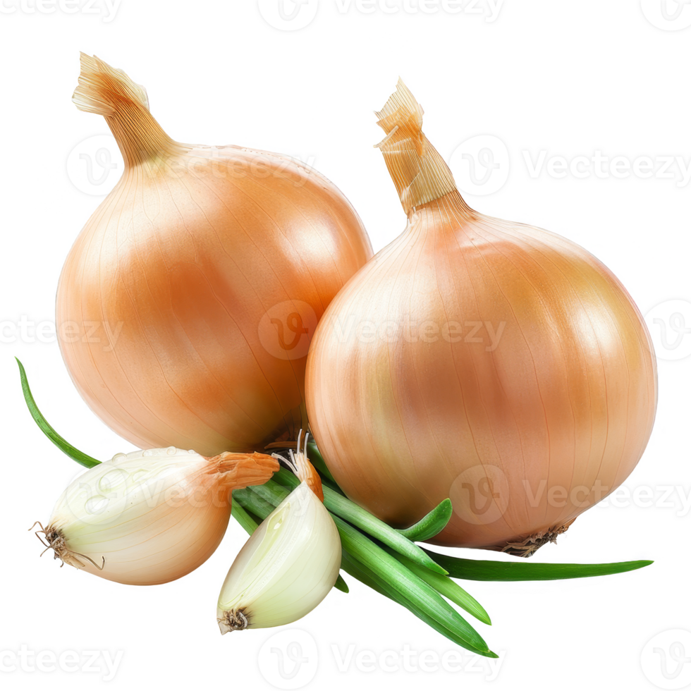 Onion Isolated on a Transparent Background png