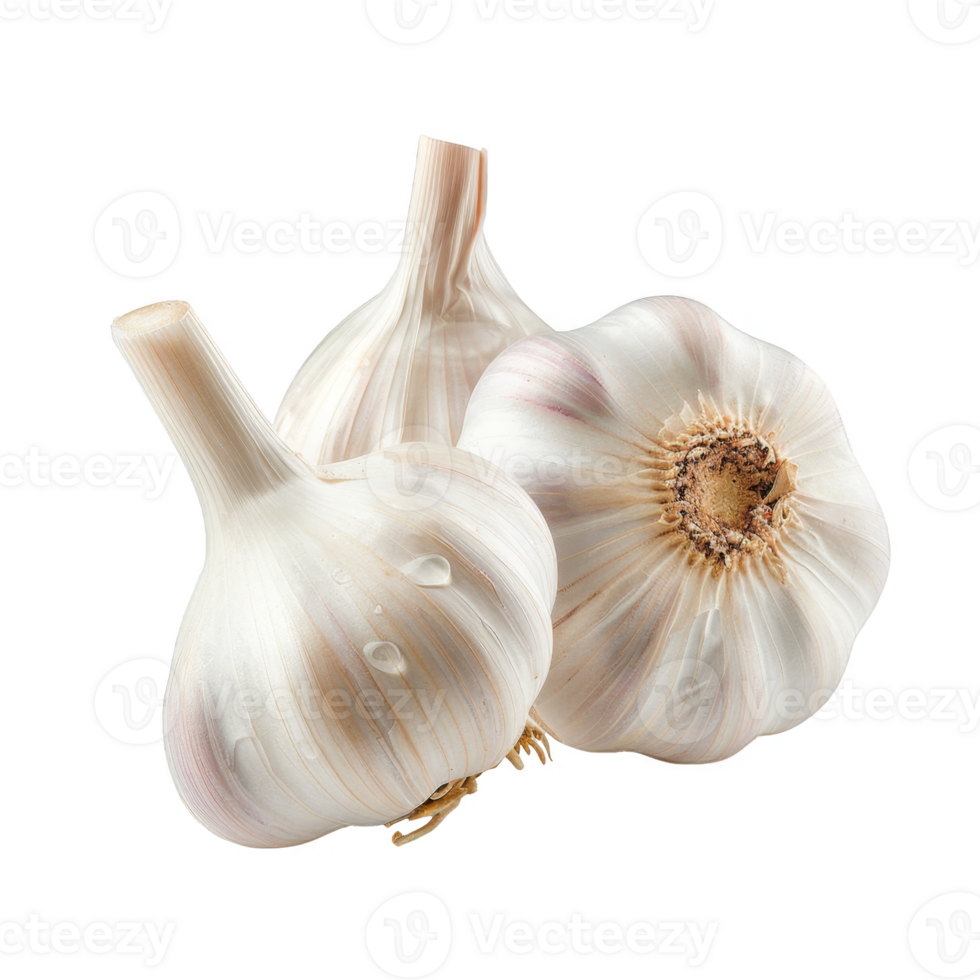Garlic Isolated on a Transparent Background png