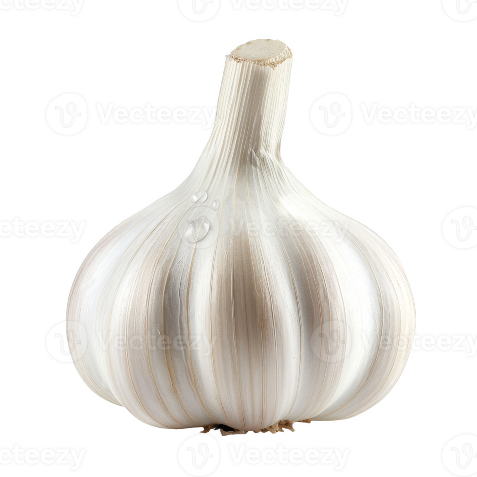 Garlic Isolated on a Transparent Background png