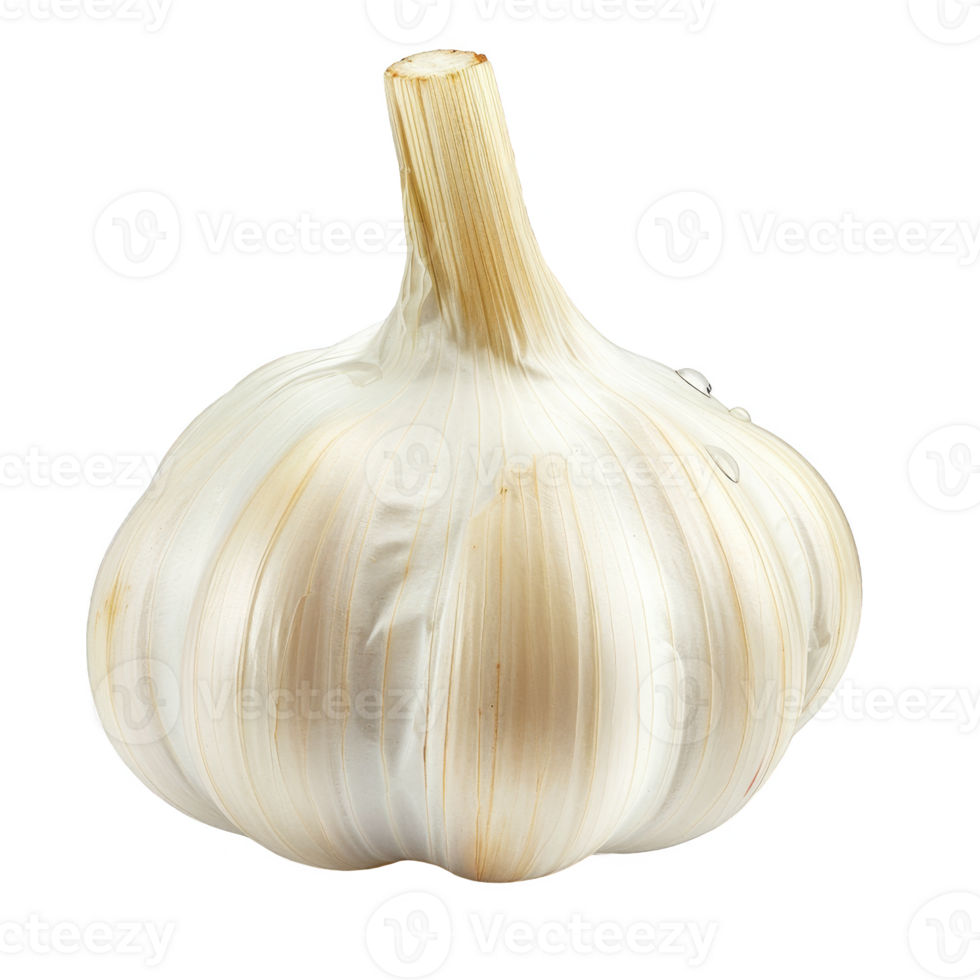 Garlic Isolated on a Transparent Background png