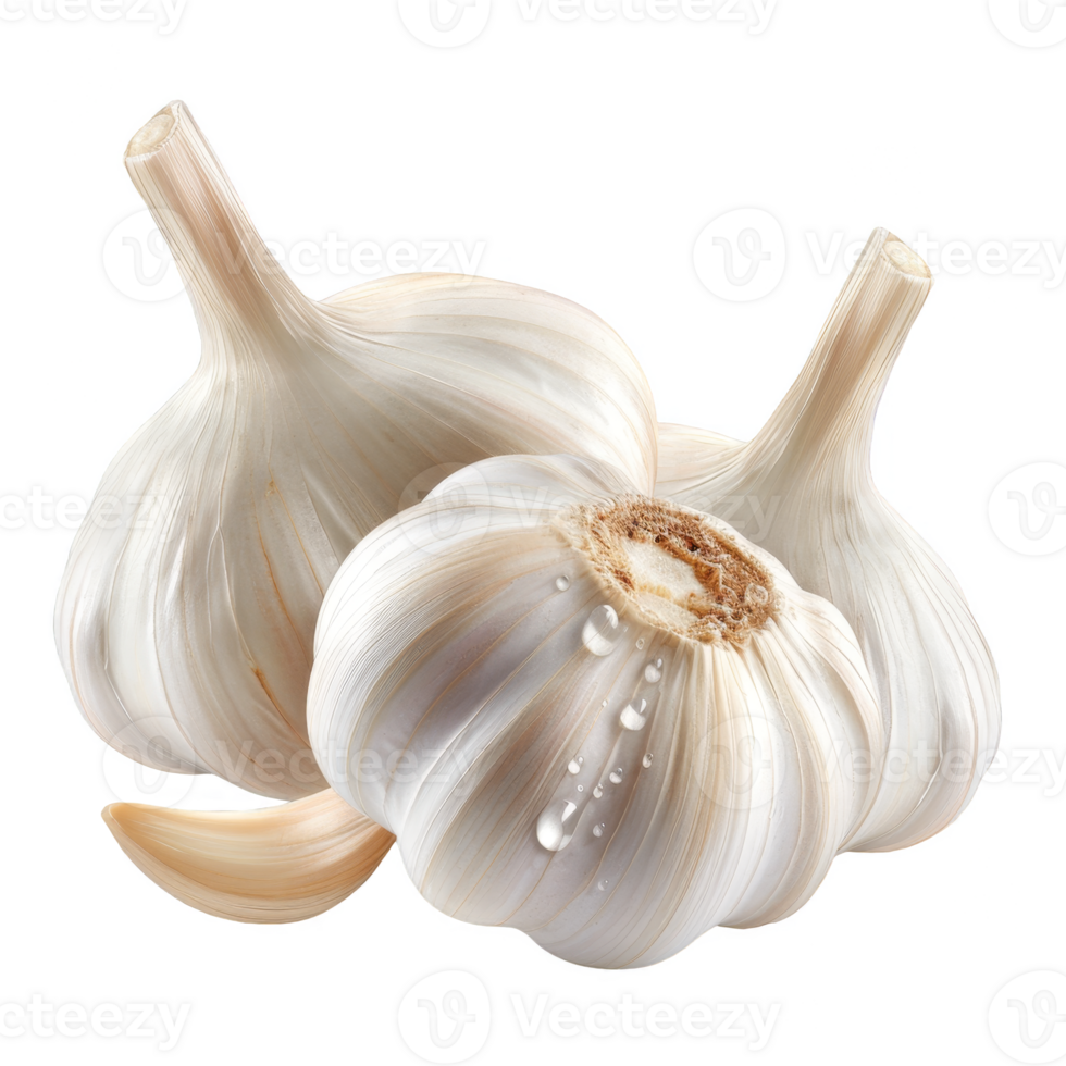 Garlic Isolated on a Transparent Background png