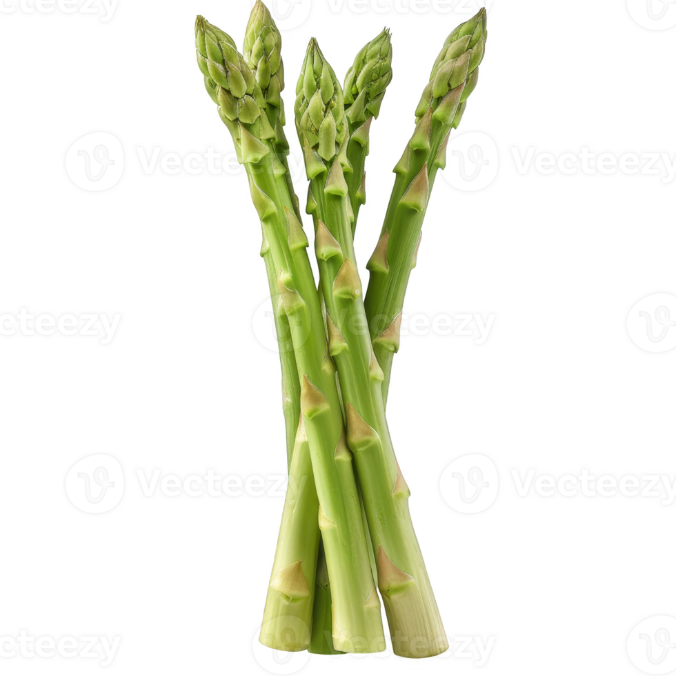 Asparagus Isolated on a Transparent Background png