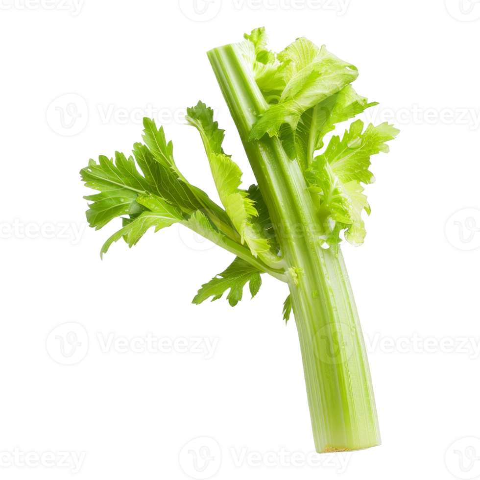Celery Isolated on a Transparent Background png