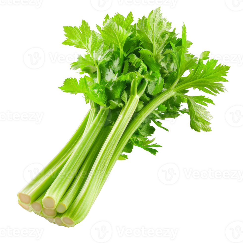 Celery Isolated on a Transparent Background png