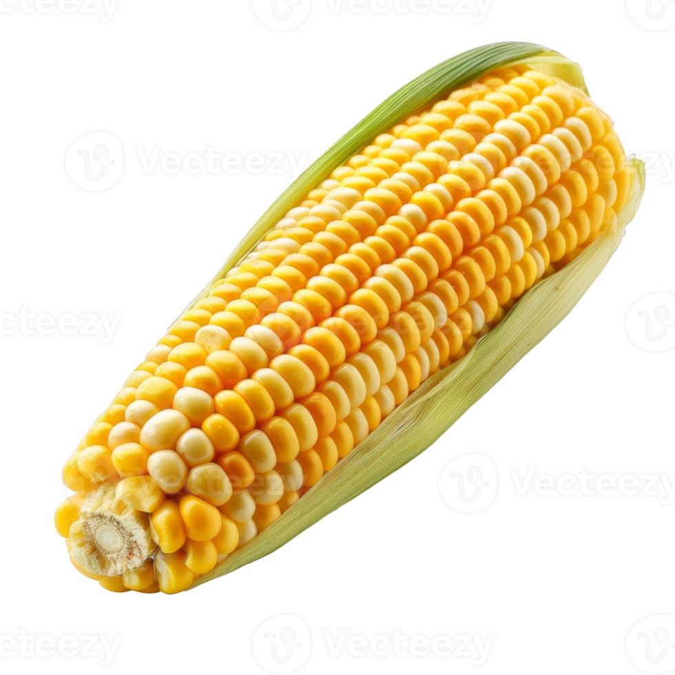 Corn Isolated on a Transparent Background png