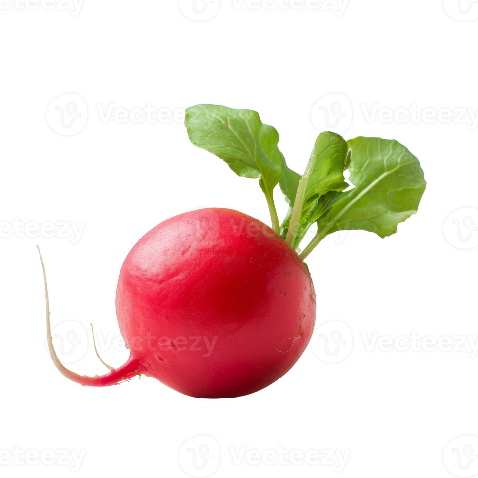 Radish Isolated on a Transparent Background png