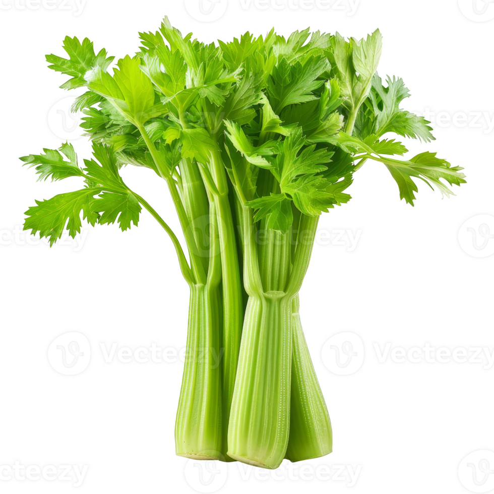 Celery Isolated on a Transparent Background png