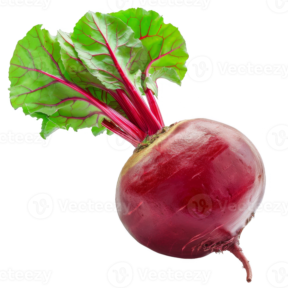 Beetroot Isolated on a Transparent Background png
