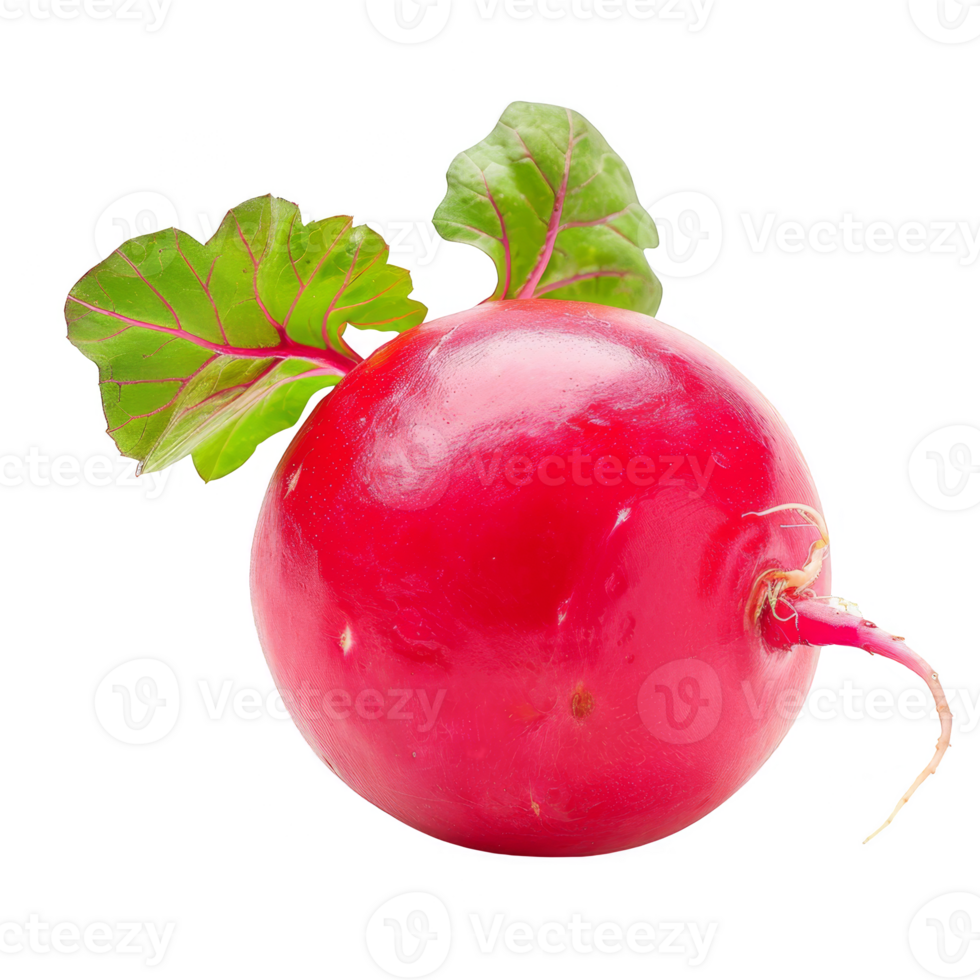 Rettich isoliert auf ein transparent Hintergrund 46439179 PNG