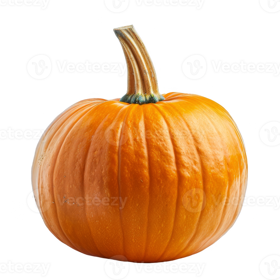 Pumpkin Isolated on a Transparent Background png