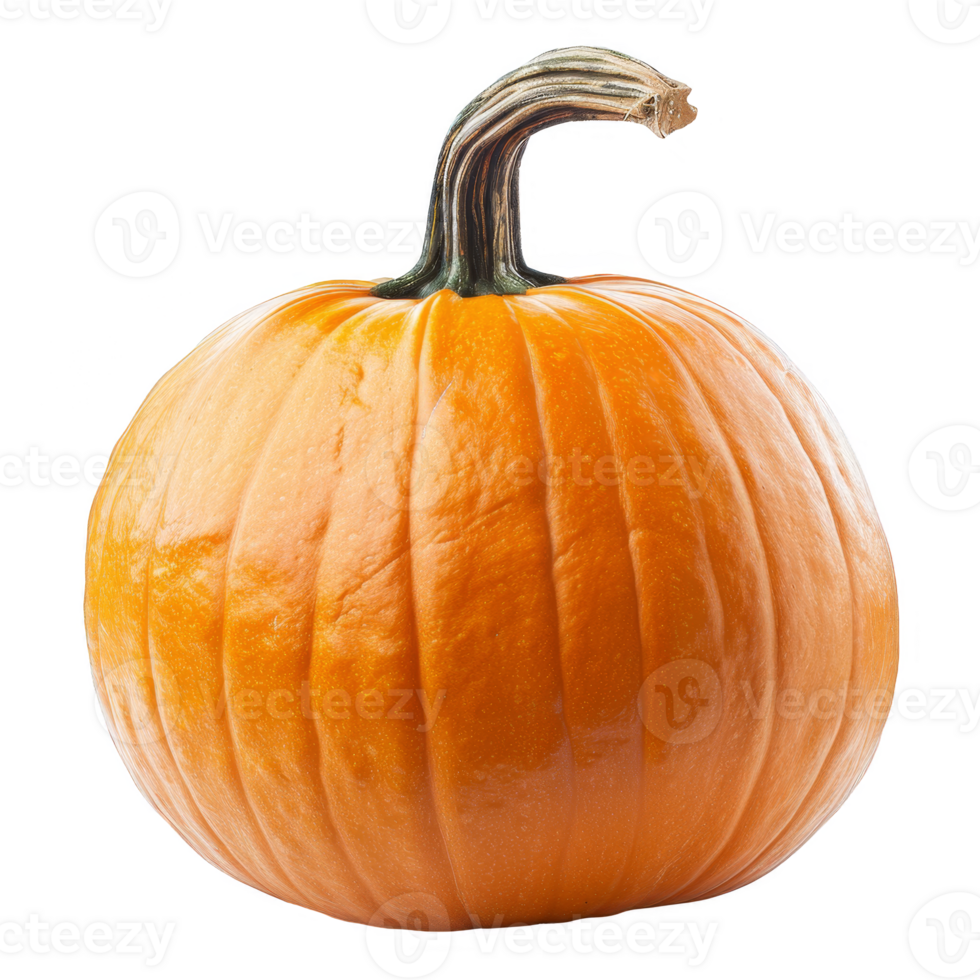 Pumpkin Isolated on a Transparent Background png
