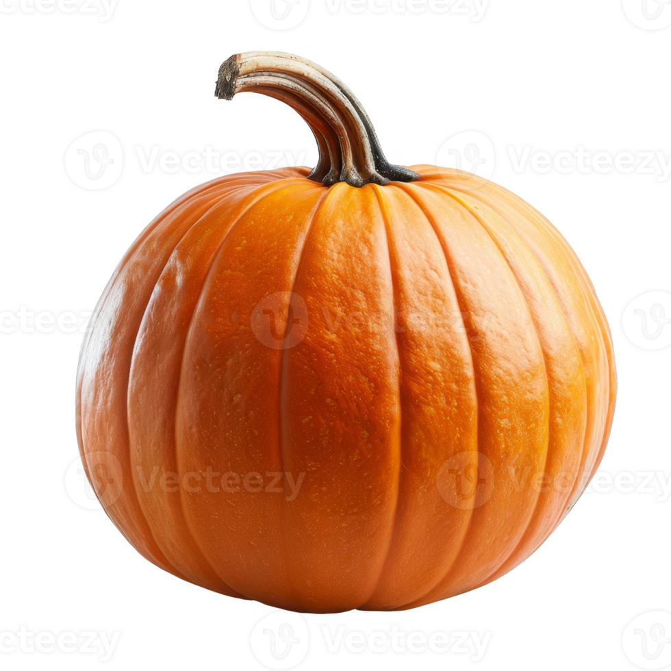 Pumpkin Isolated on a Transparent Background png